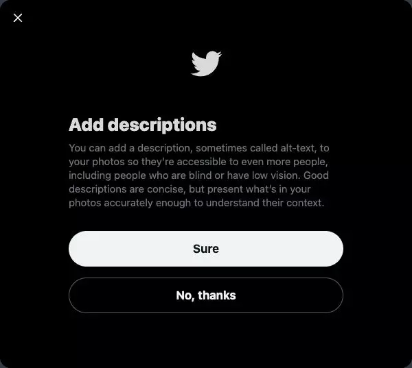 The Twitter guidance around adding ALT text. The irony is not lost on me here.